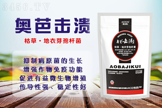 9月柑橘溃疡病再次发作?快用奥芭击溃击,击杀病菌、修复创面! 9月柑橘溃疡病再次发作?快用奥芭击溃击,击杀病菌、修复创面!
