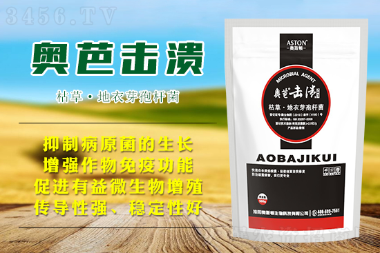 9月柑橘溃疡病再次发作?快用奥芭击溃击,击杀病菌、修复创面! 9月柑橘溃疡病再次发作?快用奥芭击溃击,击杀病菌、修复创面!