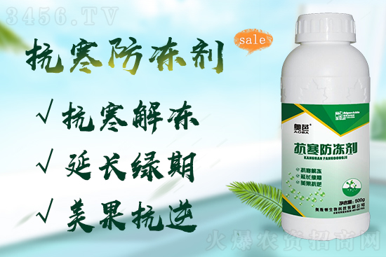 天冷怕冻坏大棚菜?这样做,抗寒性提高5倍! 天冷怕冻坏大棚菜?这样做,抗寒性提高5倍!